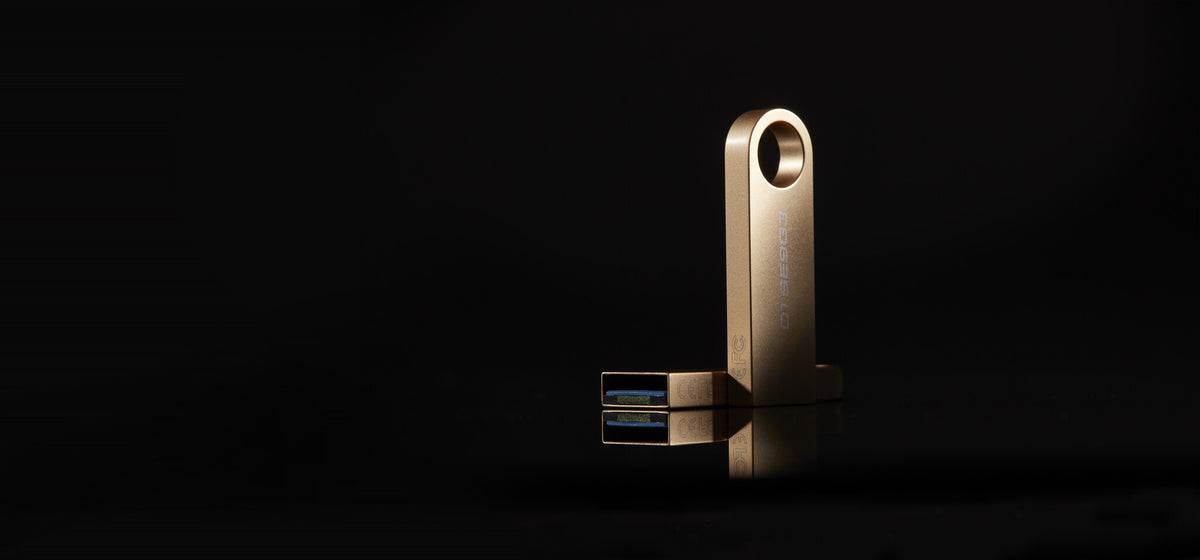 Kingston DataTraveler SE9 G3 256GB USB 3.2 Gen 1 USB stick Guld