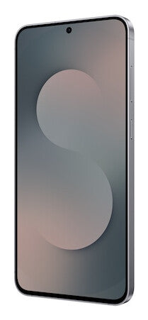 Samsung Galaxy S25 FE Enterprise Edition 17 cm (6.7") Dual SIM Android 16.0 5G USB Type-C 8 GB 128 GB 4900 mAh Sort