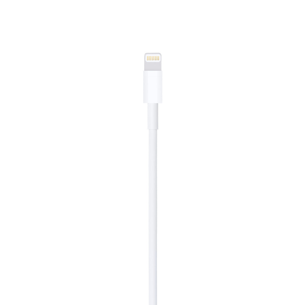 Apple Lightning to USB Cable 1 meter MUQW3ZM/A