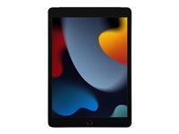 Apple 10.2-inch iPad Wi-Fi Cellular 10.2 64GB Grå Grade A+