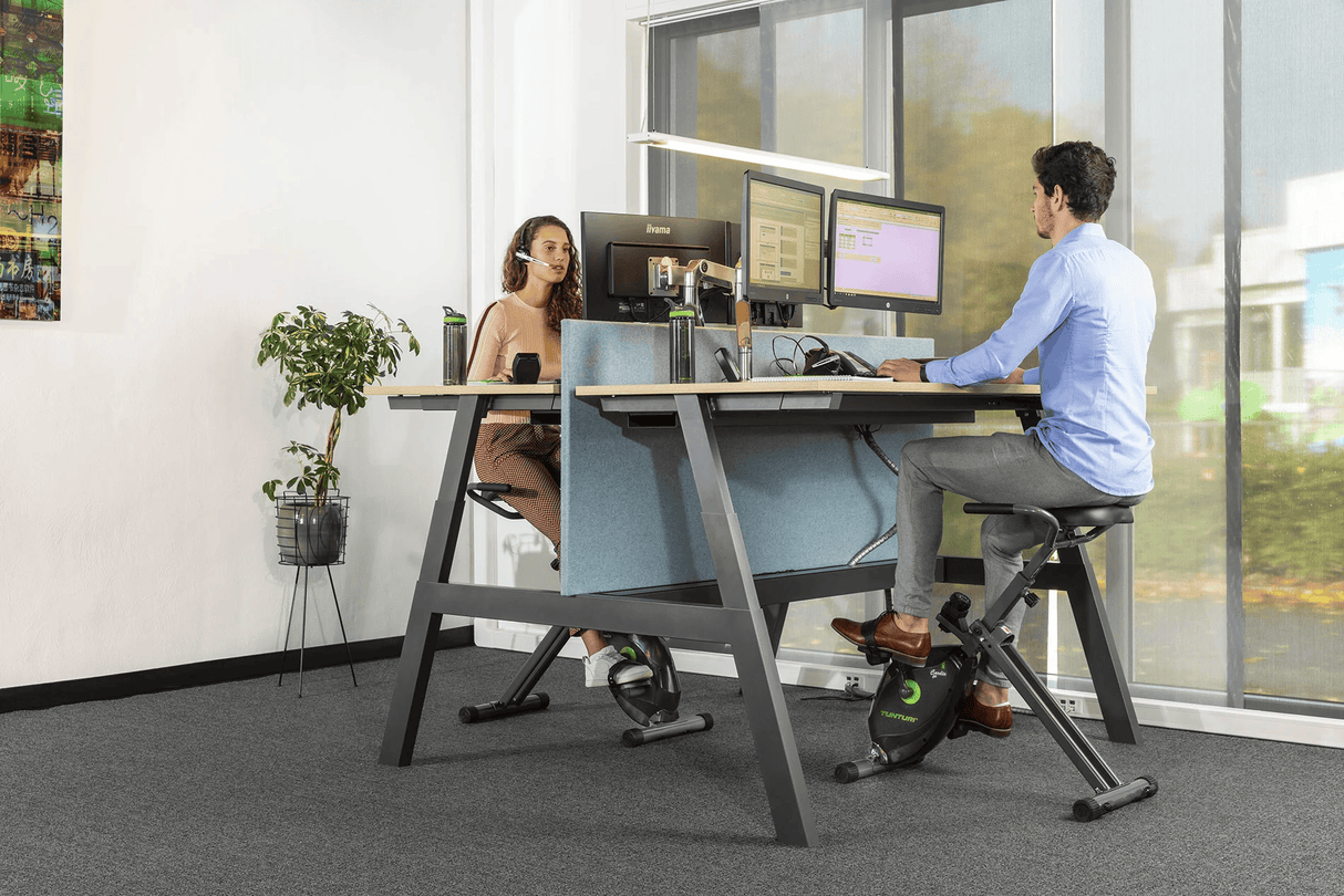 Tunturi Cardio Fit D20 Deskbike