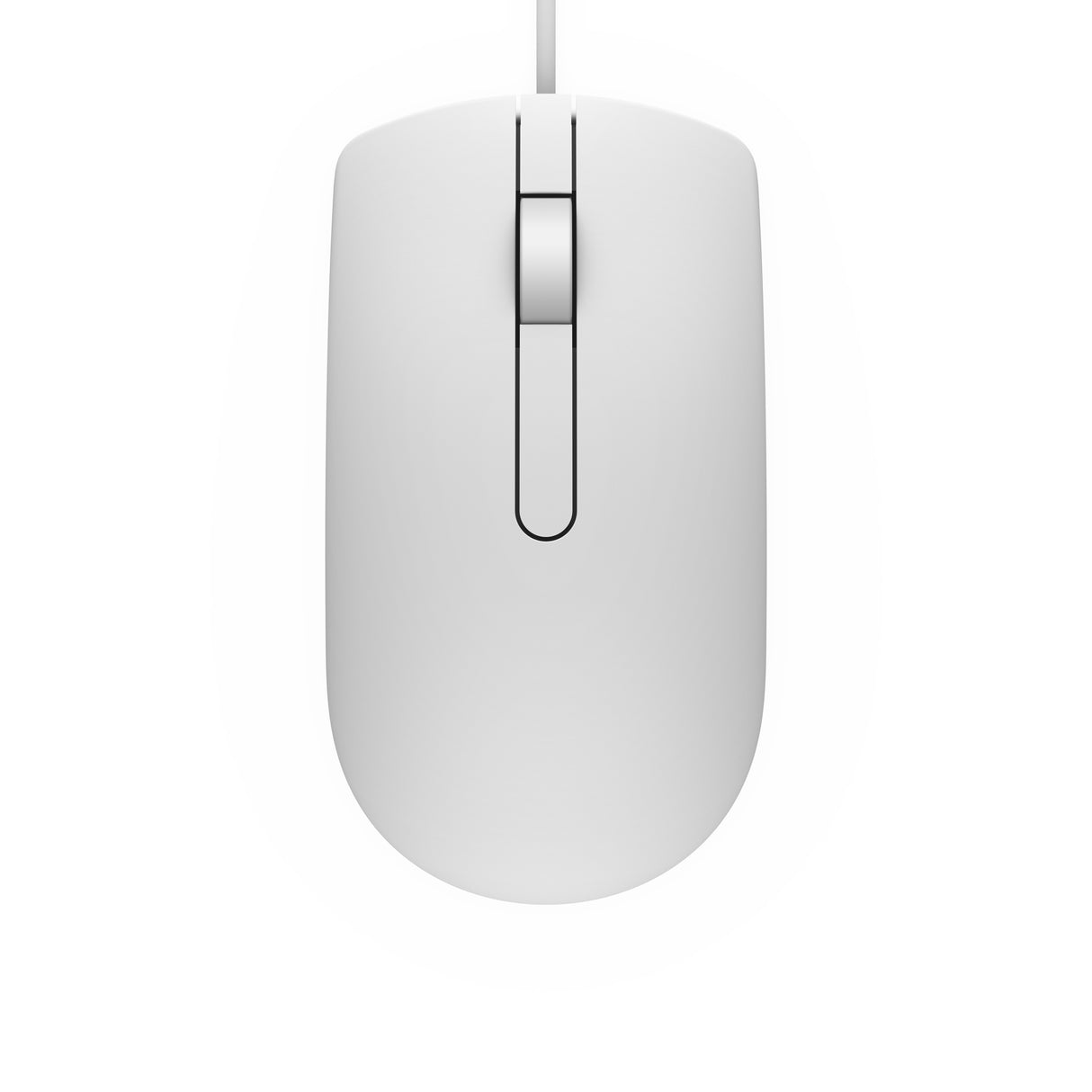 DELL MS116 mus Ambidextrous USB Type-A Optisk 1000 dpi