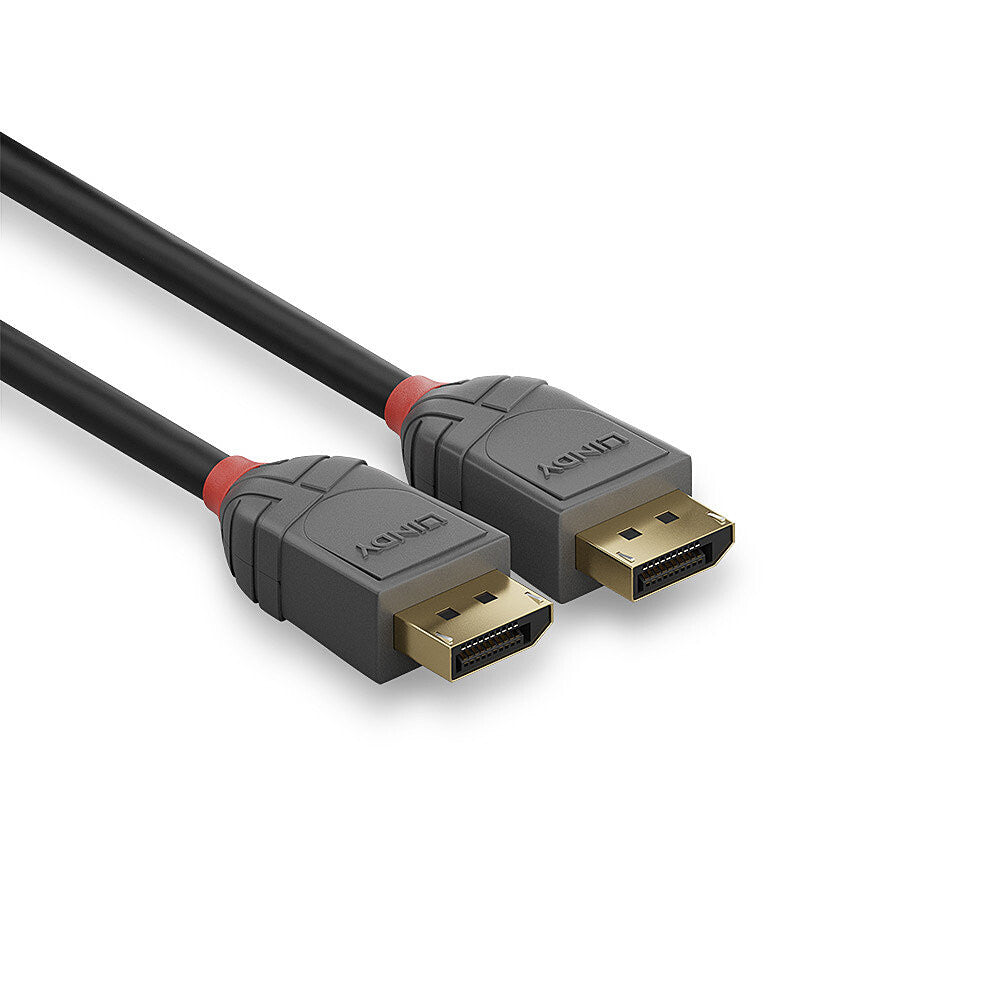 Lindy 36481 DisplayPort kabel 1 m Sort, Grå