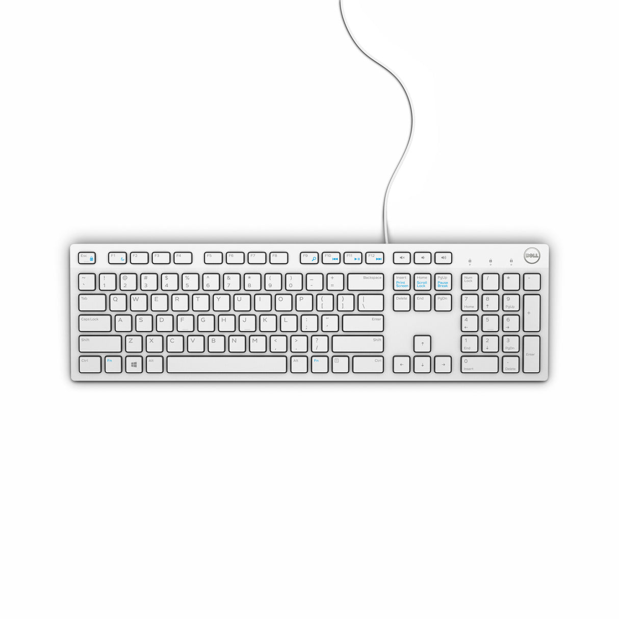 DELL KB216 tastatur Universel USB QWERTY US International Hvid