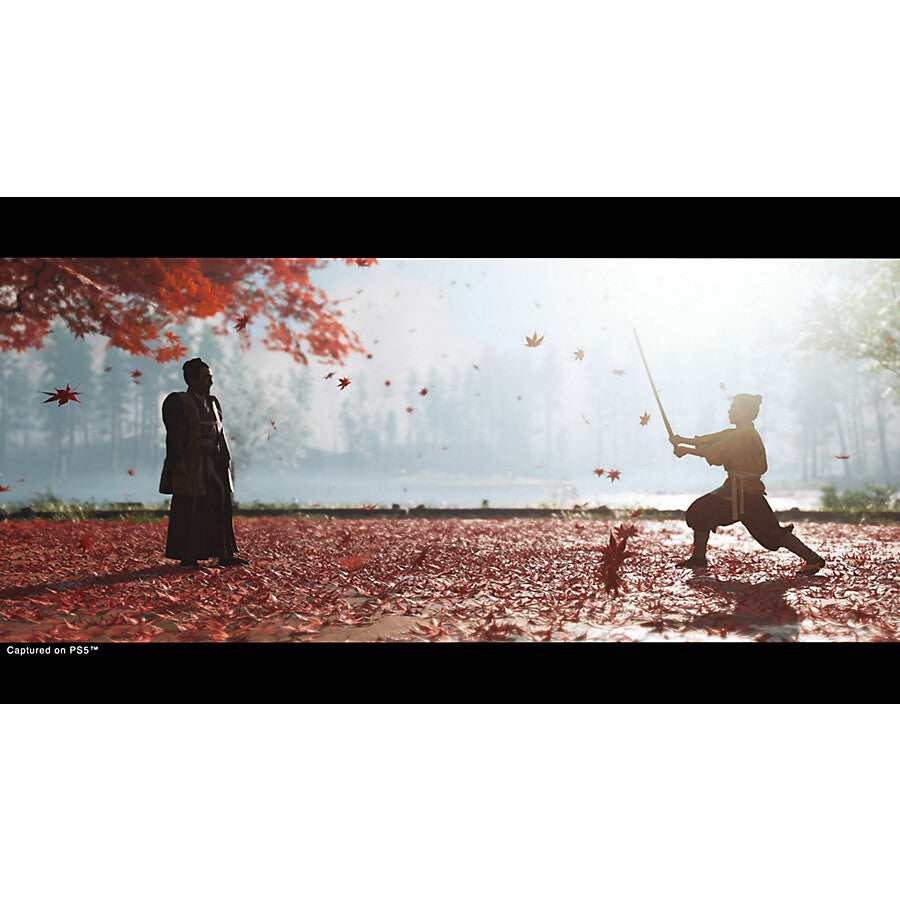 Sony Ghost of Tsushima Director's Cut