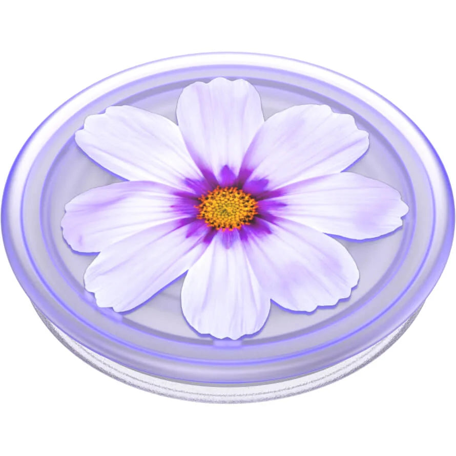 PopGrip Plant Purple Cosmo