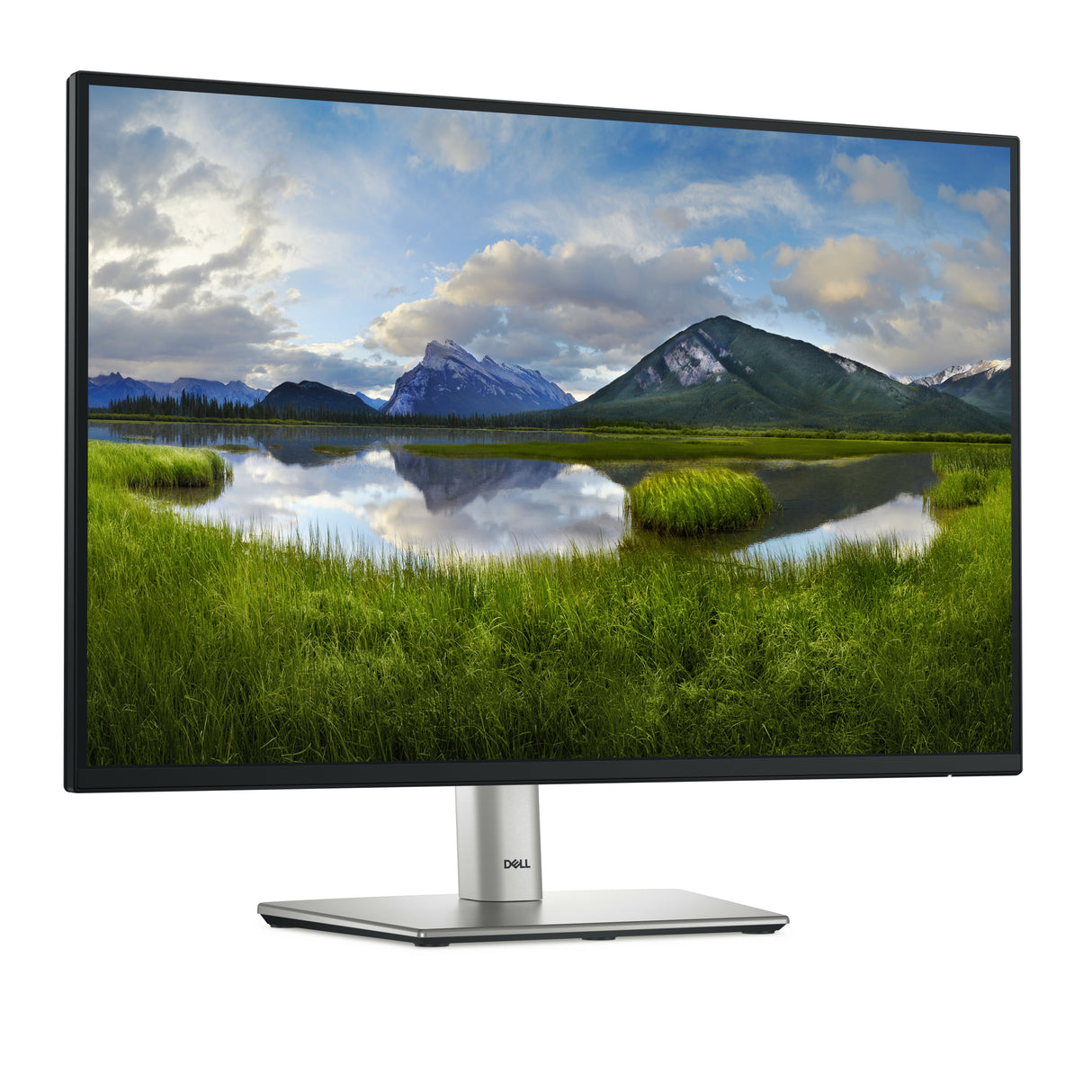 DELL Pro 24 Plus USB-C Hub Monitor P2425E computerskærm 61,1 cm (24.1") 1920 x 1200 pixel WUXGA LCD Sort