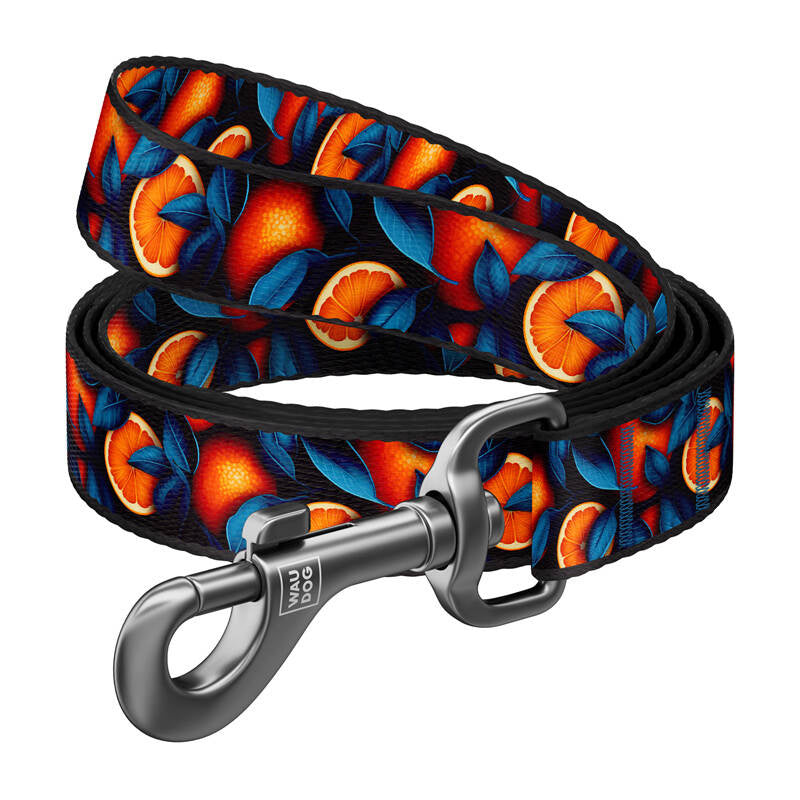 Hundebånd af nylon med mønster "Orange", længde 122 cm Waudog