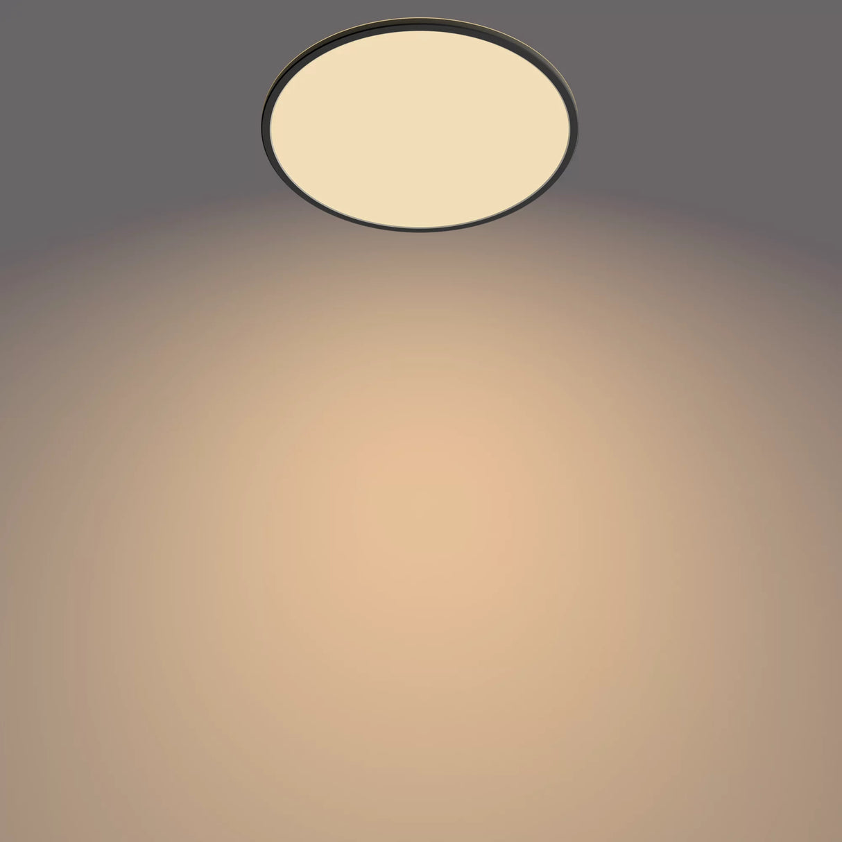 Philips Funktionel Super Slim loftslampe 22 W