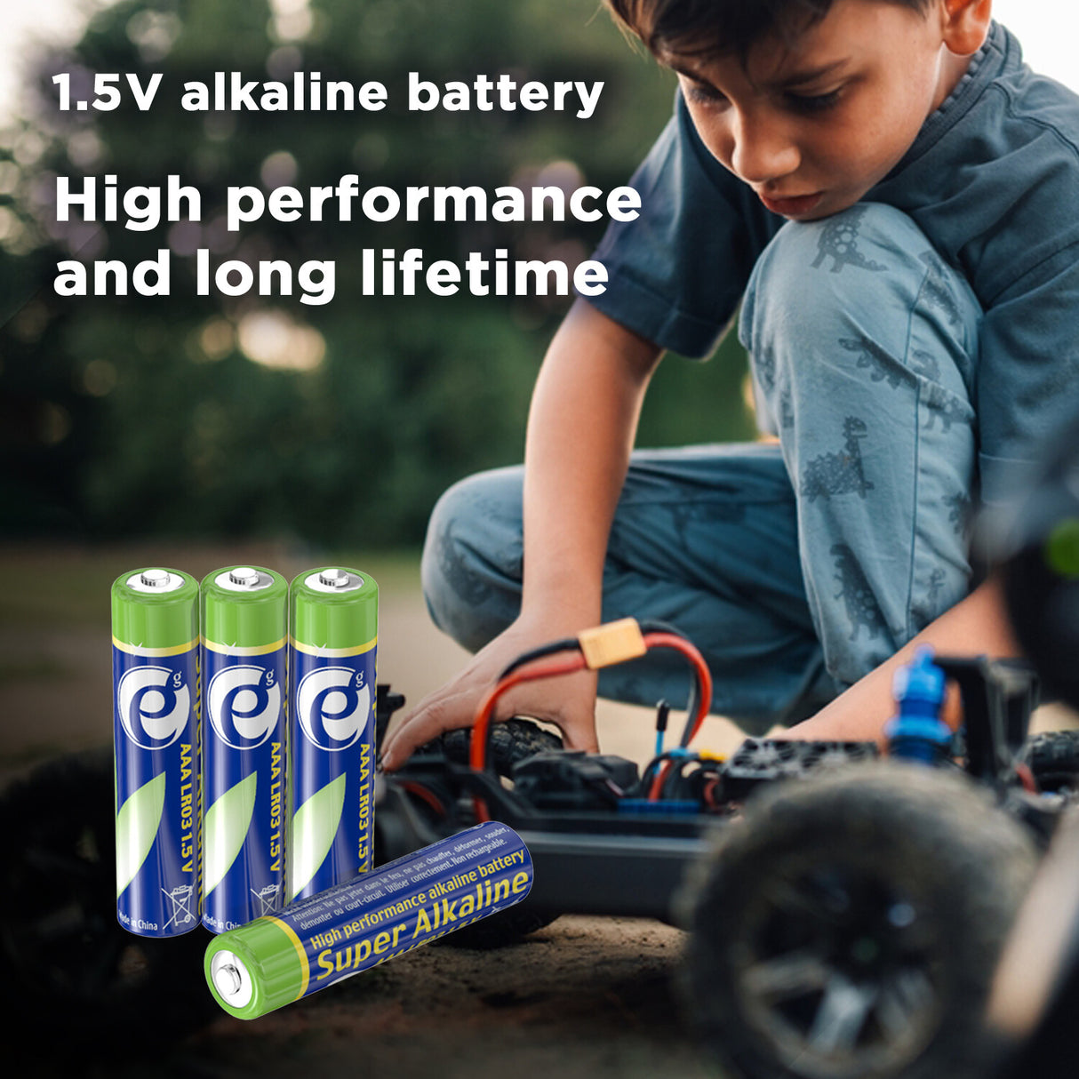 Gembird EG-BA-AAASA-01 husholdningsbatteri Engangsbatteri AAA Alkaline