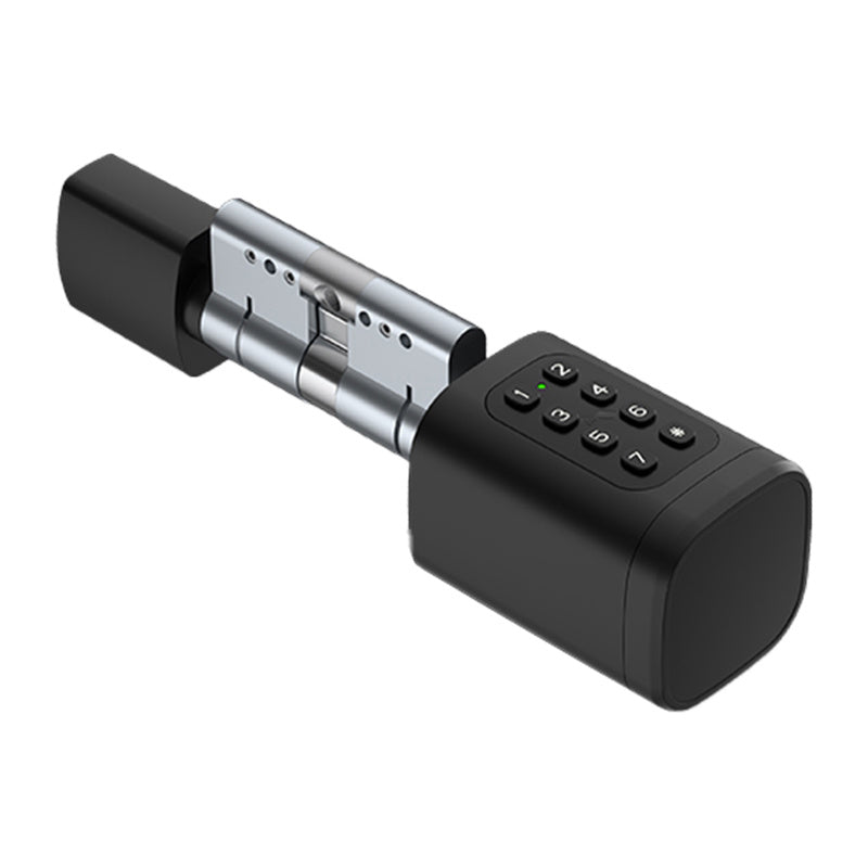 Avatto SDL-V1-B60 60mm Black digital lock cylinder