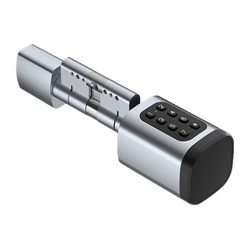 Avatto SDL-V1-S90 90mm Silver digital lock cylinder
