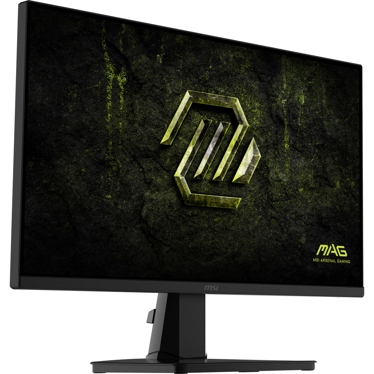 MSI MAG 256F E20 computerskærm 62,2 cm (24.5") 1920 x 1080 pixel Fuld HD LCD Sort