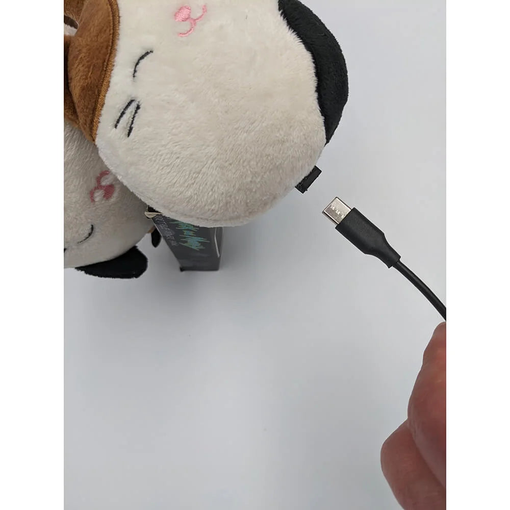 Høretelefoner On-Ear Trådløse Katten Cameron