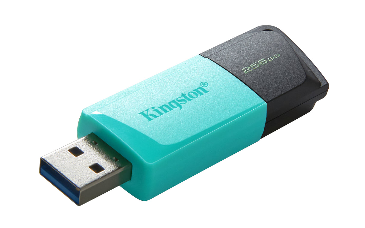 Kingston Technology DataTraveler 256 GB USB 3.2 Gen1 Exodia M (sort + turkis)