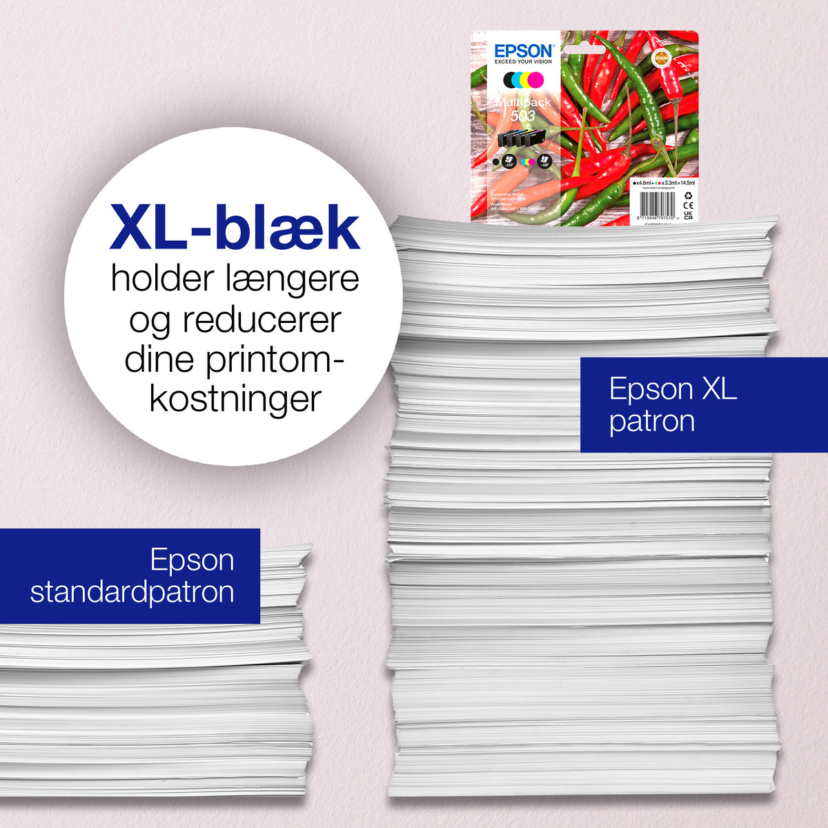 Epson Singlepack Black 503XL Ink
