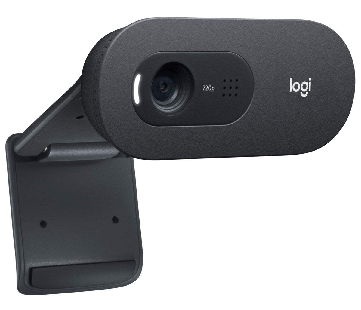 Logitech C505e webcam 1280 x 720 pixel USB Grafit