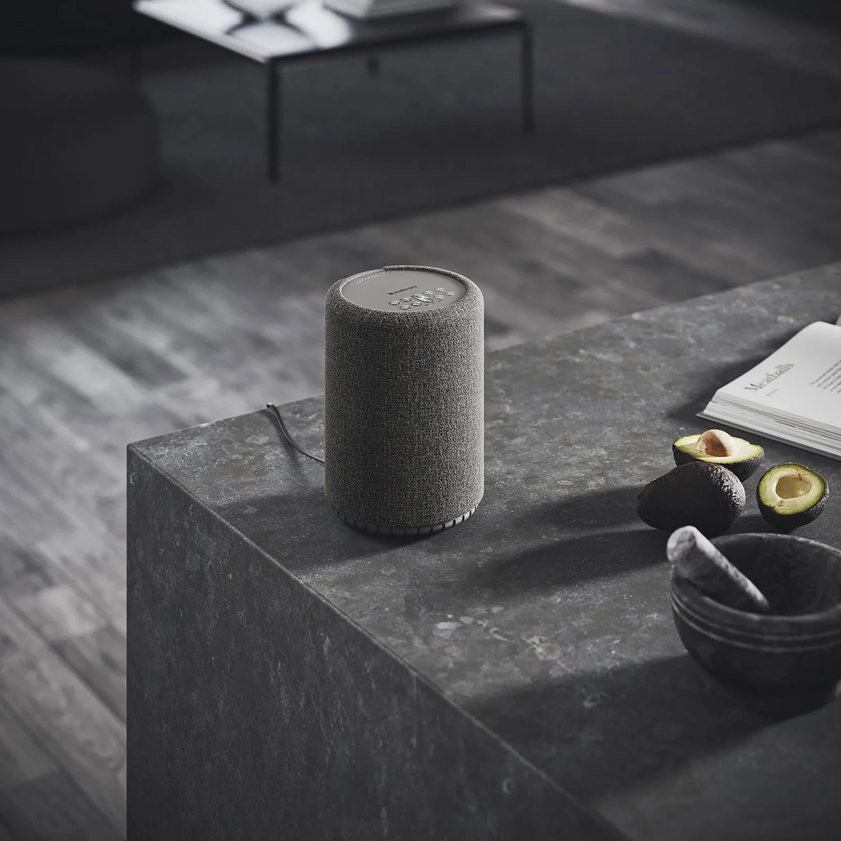 Højttaler A10 MK II Multiroom Mørkegrå