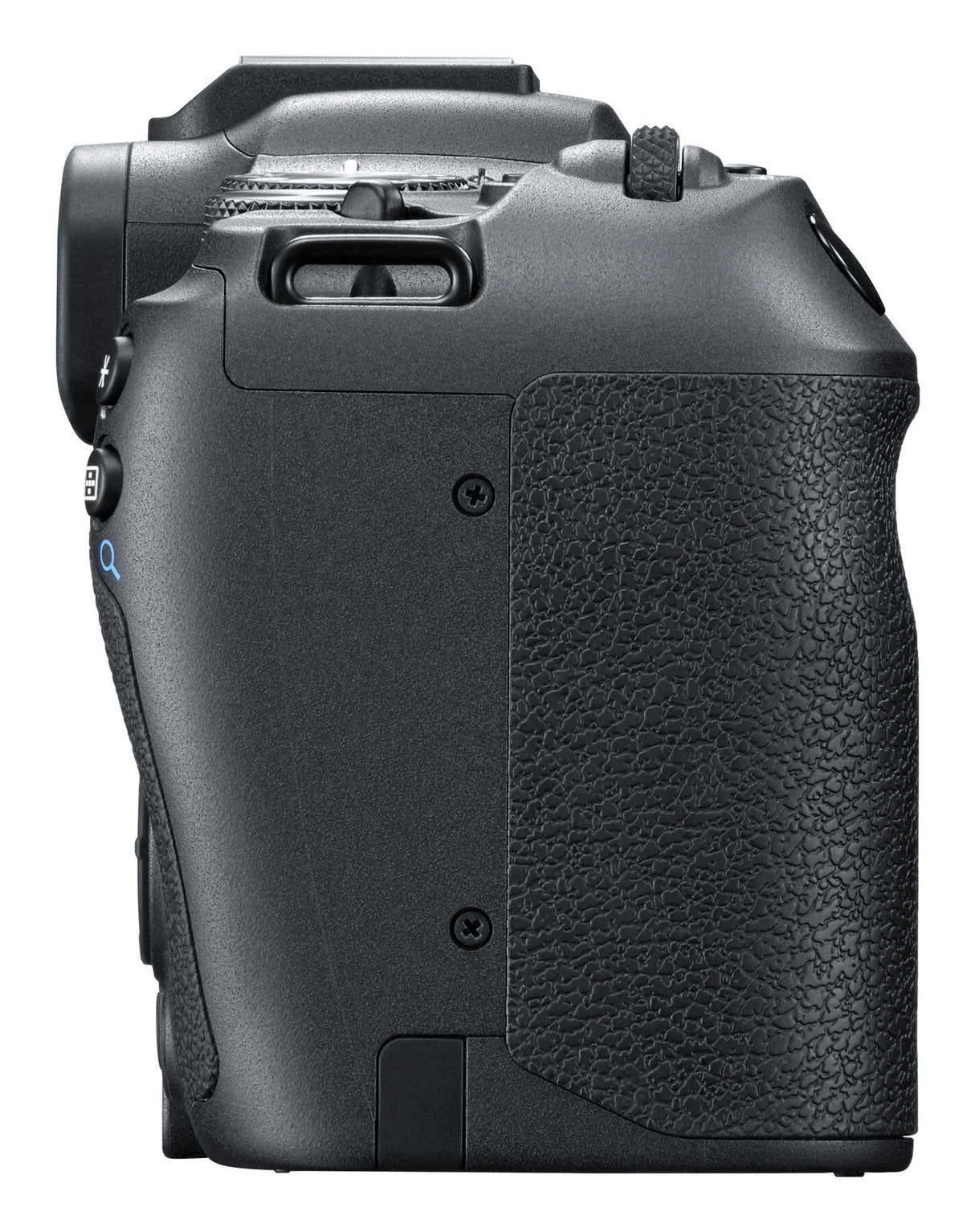 Canon EOS R8 MILC 24,2 MP CMOS 6000 x 4000 pixel Sort
