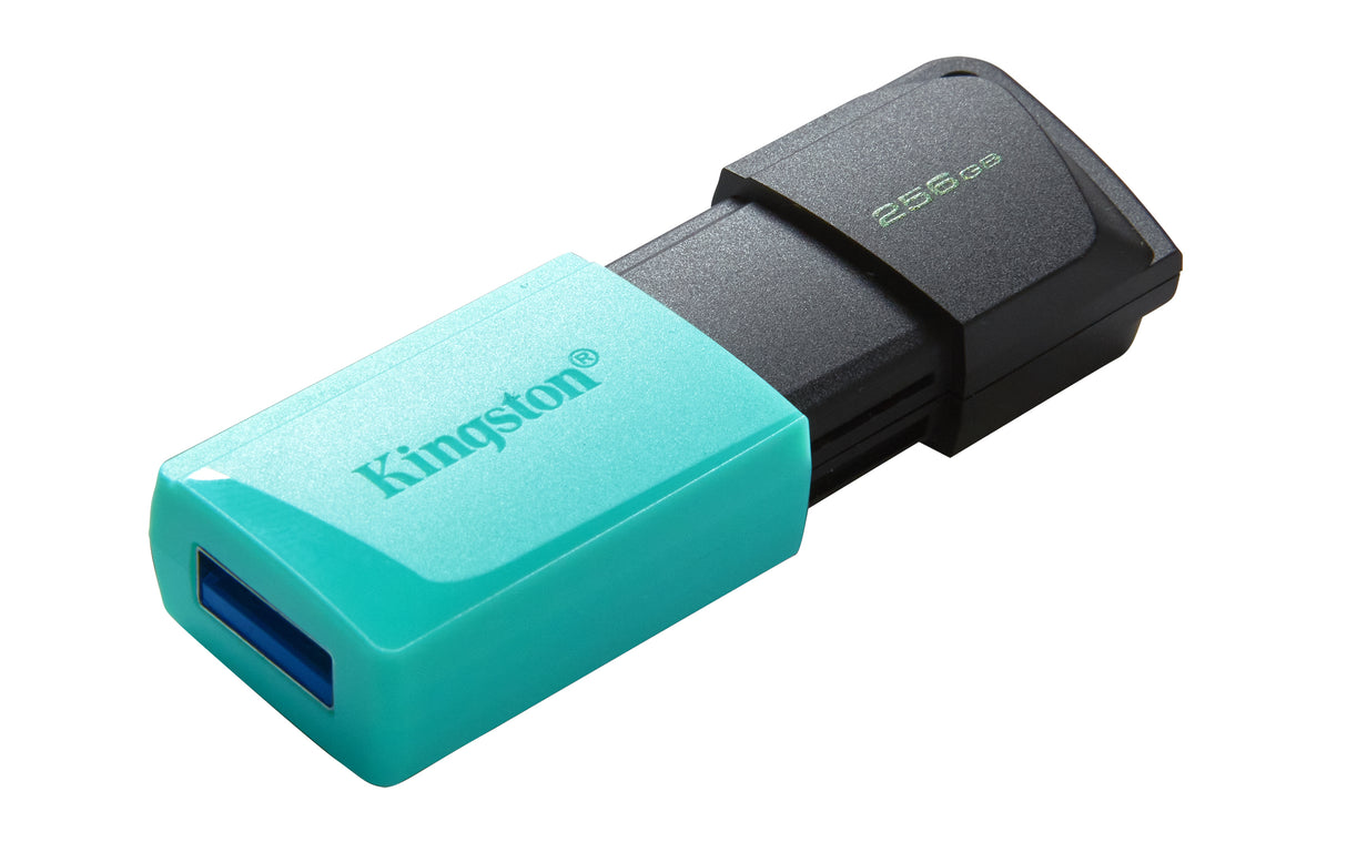 Kingston Technology DataTraveler 256 GB USB 3.2 Gen1 Exodia M (sort + turkis)