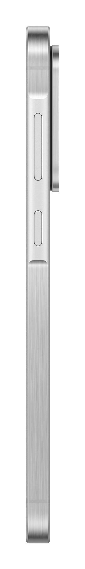 Samsung Galaxy A56 17 cm (6.7") Dual SIM Android 15 5G USB Type-C 8 GB 256 GB 5000 mAh Lys grå