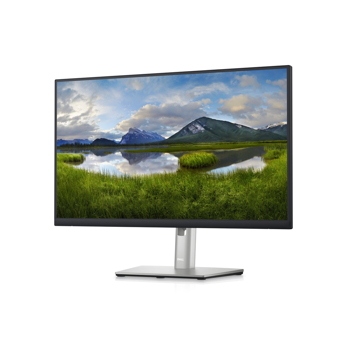 Dell P2423DE 24 2560 x 1440 (2K) HDMI DisplayPort USB-C 60Hz Dockingskærm