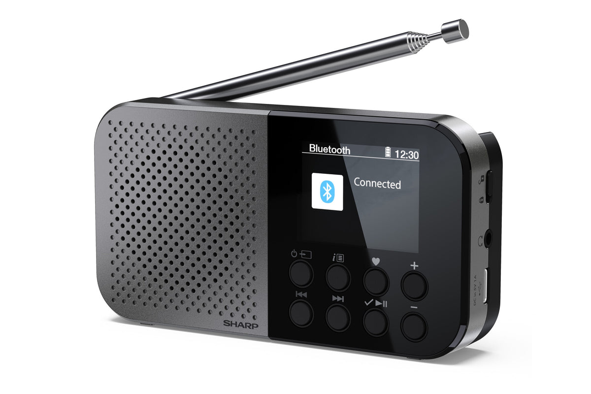 Sharp DR-P520 Personal Digital Grey