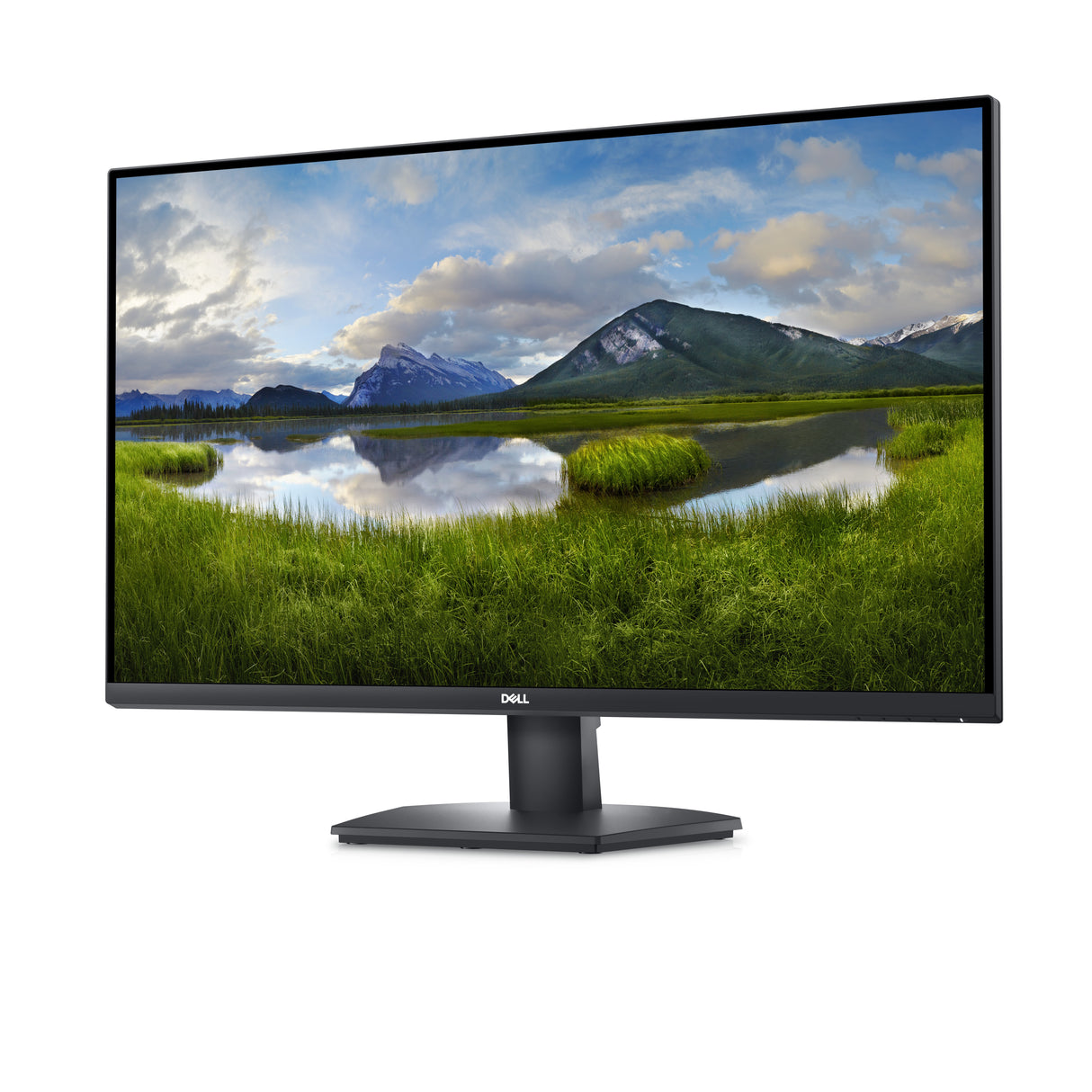 Dell SE3223Q 31.5 3840 x 2160 (4K) HDMI DisplayPort 60Hz