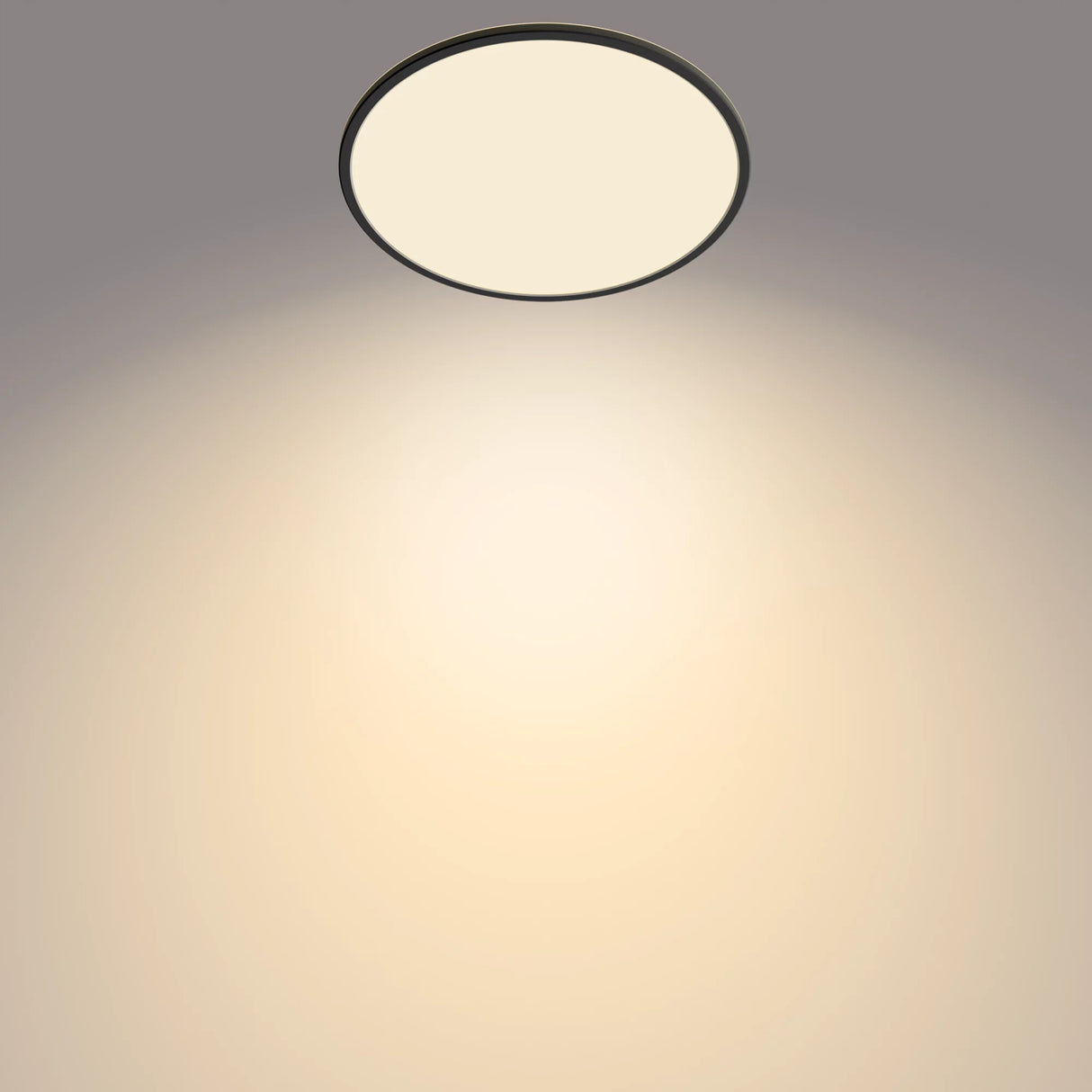Philips Funktionel Super Slim loftslampe 22 W