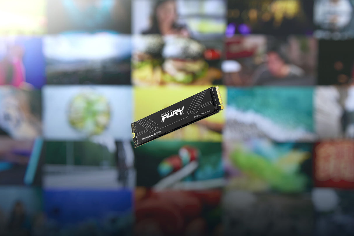 Kingston Technology 1T FURY RENEGADE G5 M.2 2280 NVMe SSD