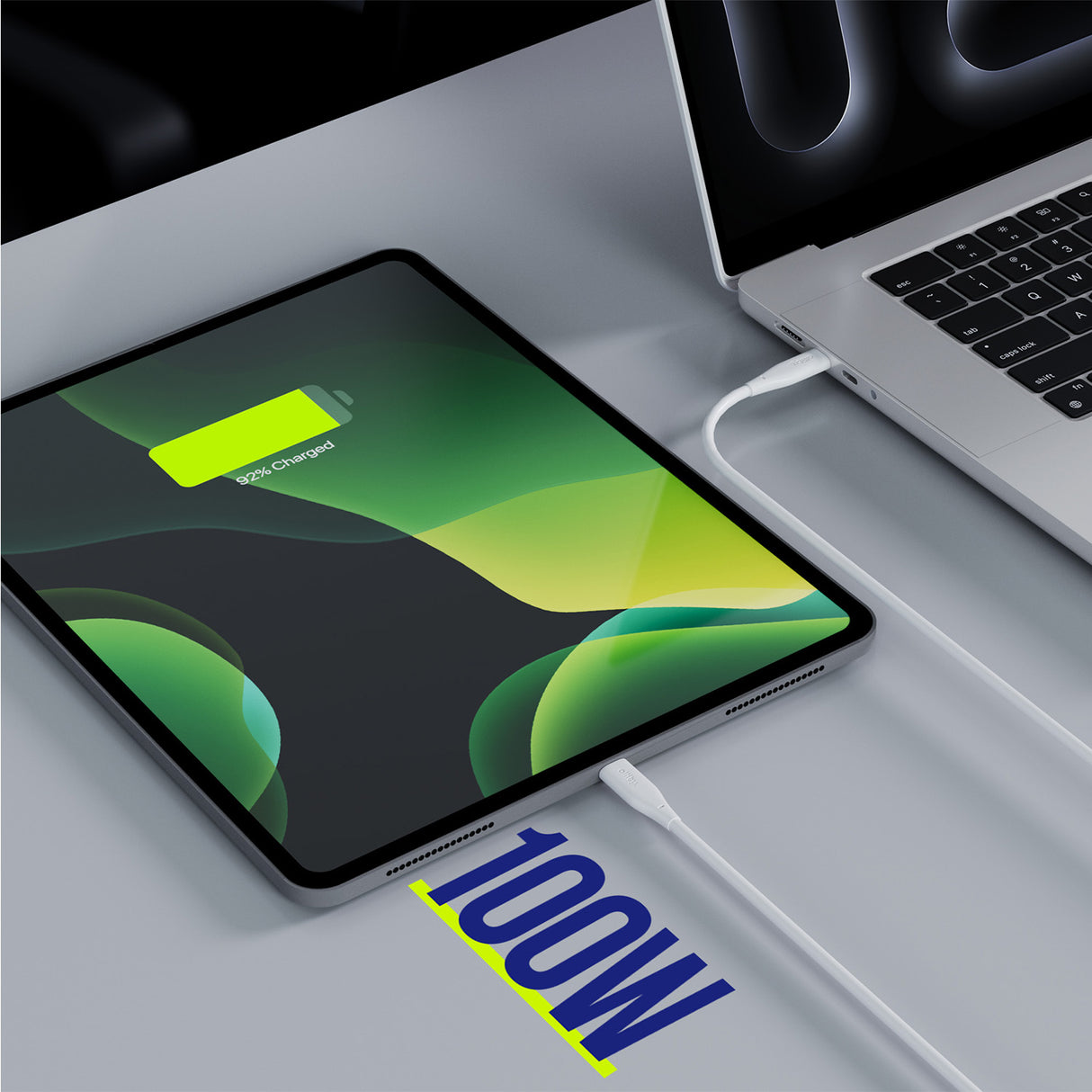 Allity cable AUC-02 USB-C - USB-C 2.0 m 100W white