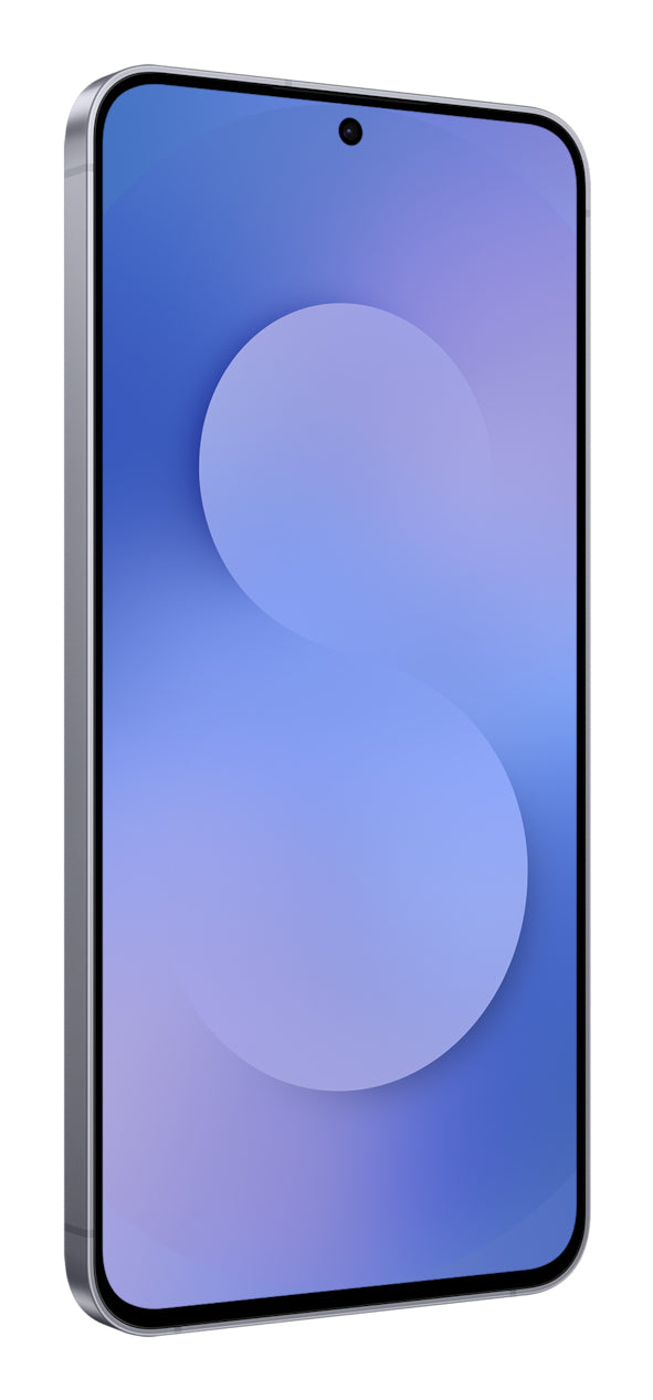 Samsung Galaxy S25 FE 17 cm (6.7") Dual SIM Android 16.0 5G USB Type-C 8 GB 128 GB 4900 mAh Marineblå