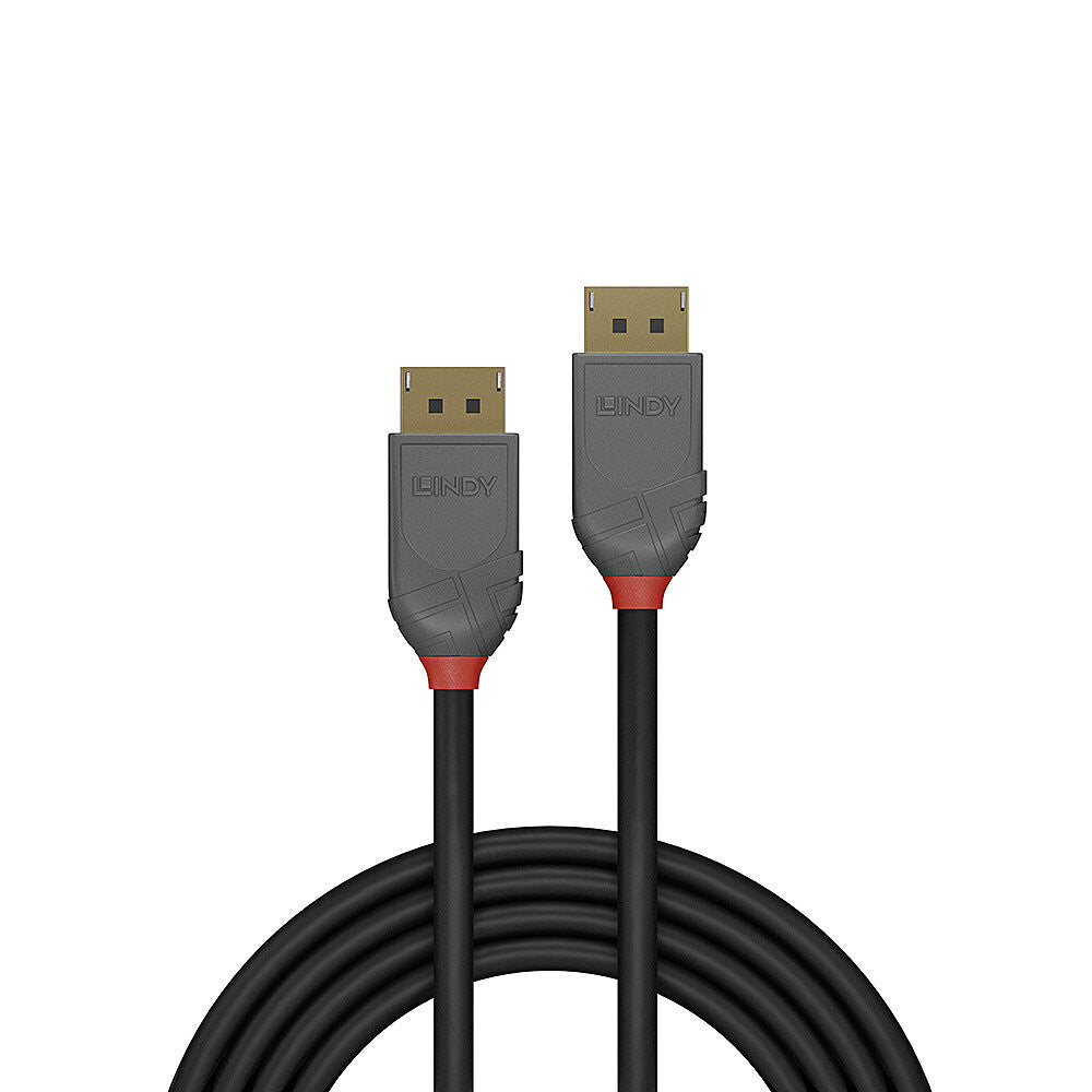 Lindy 36481 DisplayPort kabel 1 m Sort, Grå