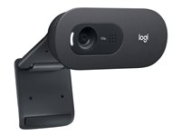 Logitech C505e Webcam