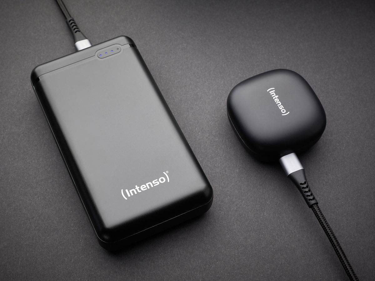 Intenso 7313550 Power Bank XS20000