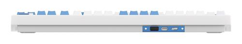 Akko Glacier 5098B keyboard Gaming USB + RF Wireless + Bluetooth QWERTY US English White