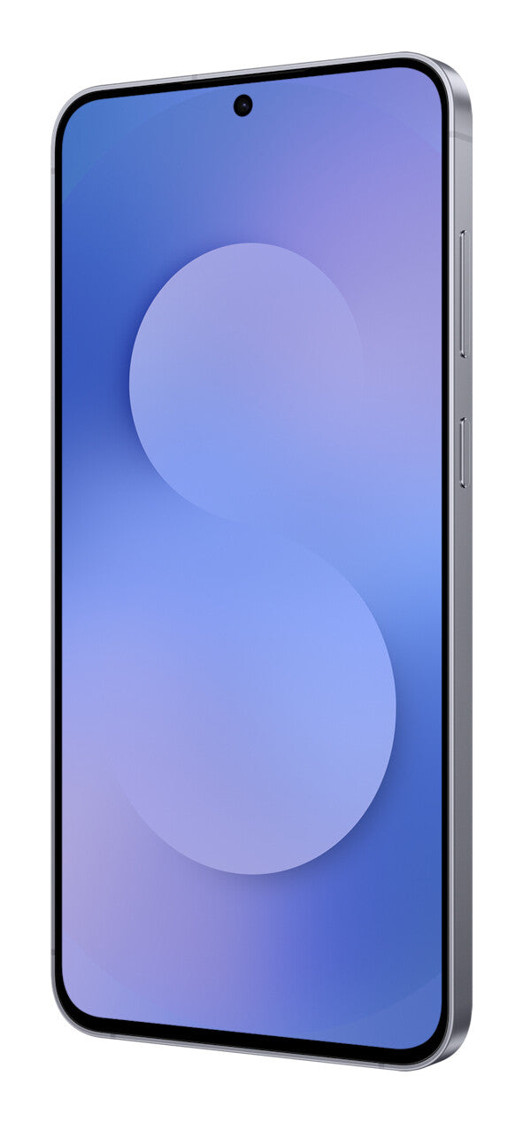 Samsung Galaxy S25 FE 17 cm (6.7") Dual SIM Android 16.0 5G USB Type-C 8 GB 256 GB 4900 mAh Marineblå