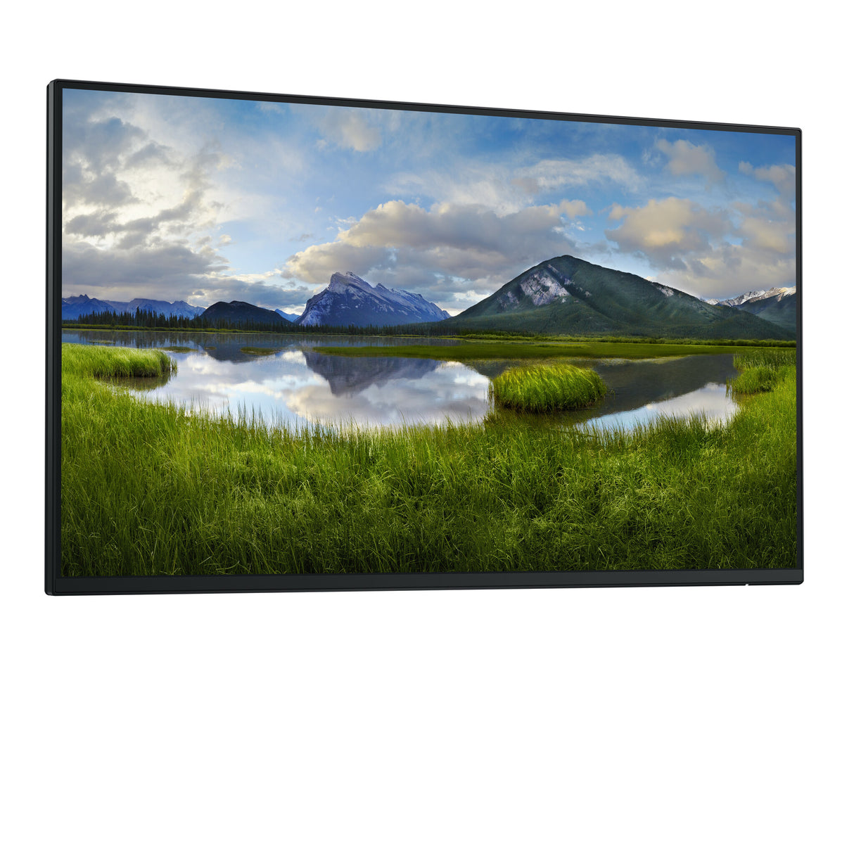 DELL Pro Plus P2425HE_WOST computerskærm 61 cm (24") 1920 x 1080 pixel Fuld HD LCD Sort