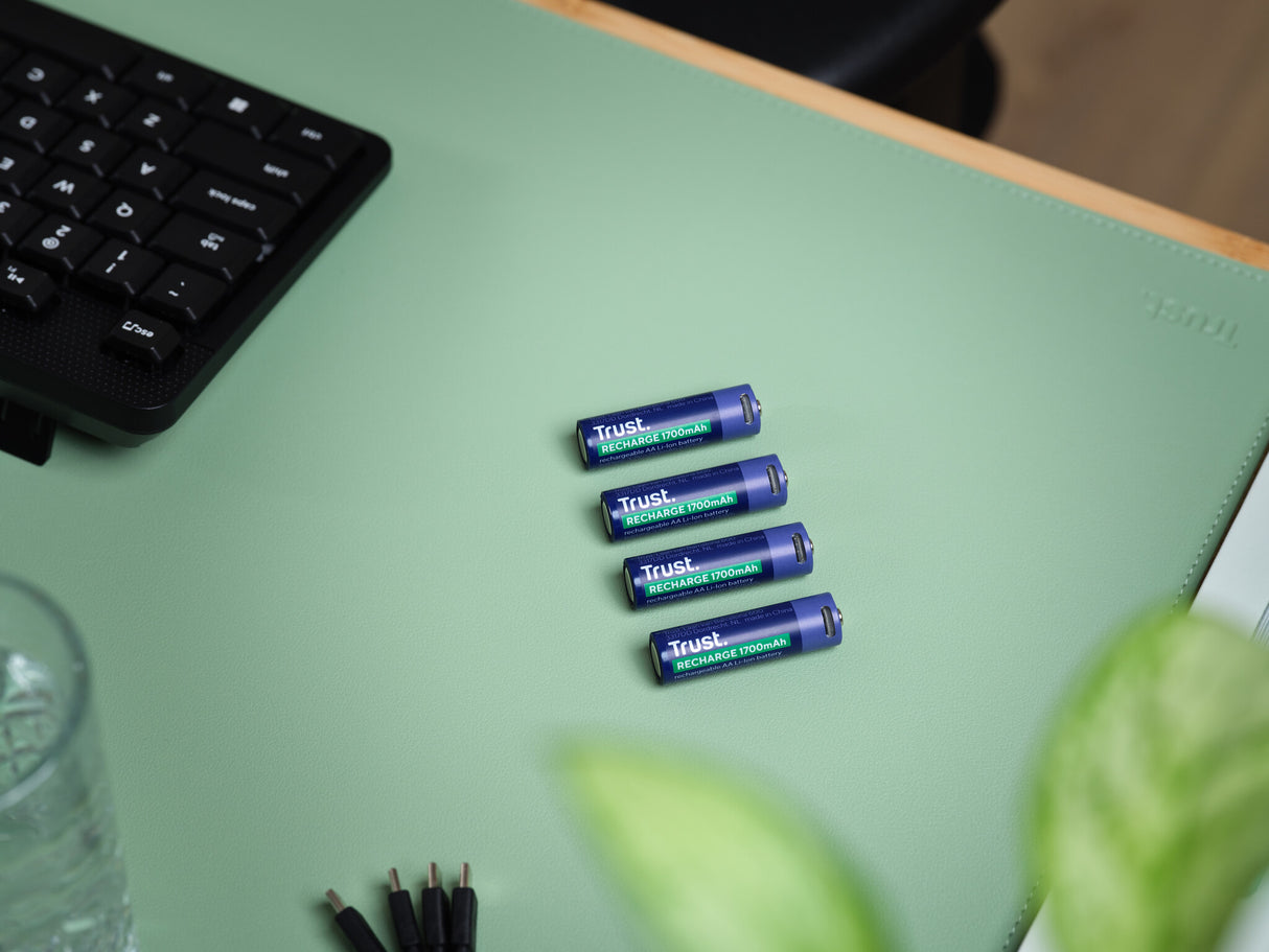 Trust 25631 husholdningsbatteri Genopladeligt batteri AA