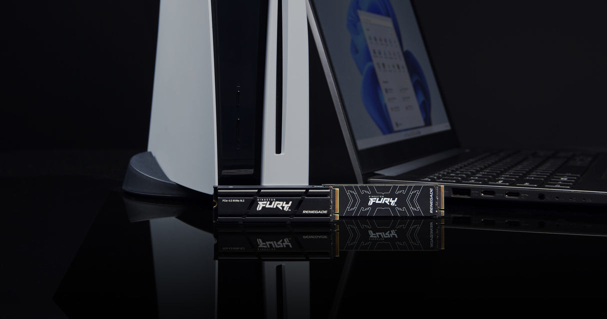 Kingston Technology 1000G RENEGADE PCIe 4.0 NVMe SSD M/HEATSINK