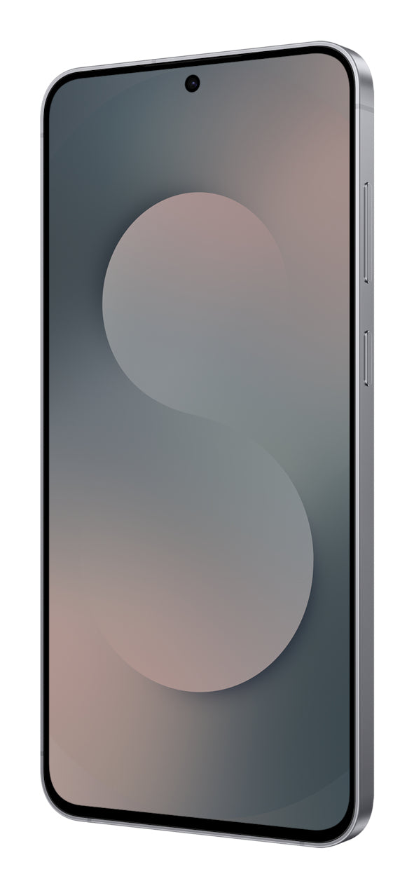 Samsung Galaxy S25 FE 17 cm (6.7") Dual SIM Android 16.0 5G USB Type-C 8 GB 128 GB 4900 mAh Sort