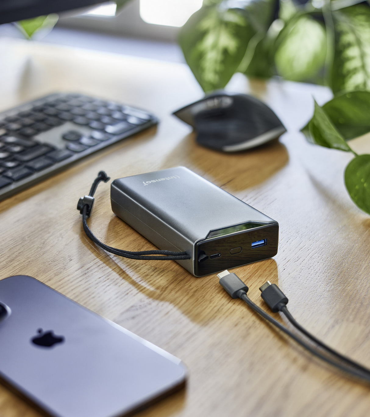 Intenso 7332054 powerbank Lithium polymer (LiPo) 20000 mAh Grå