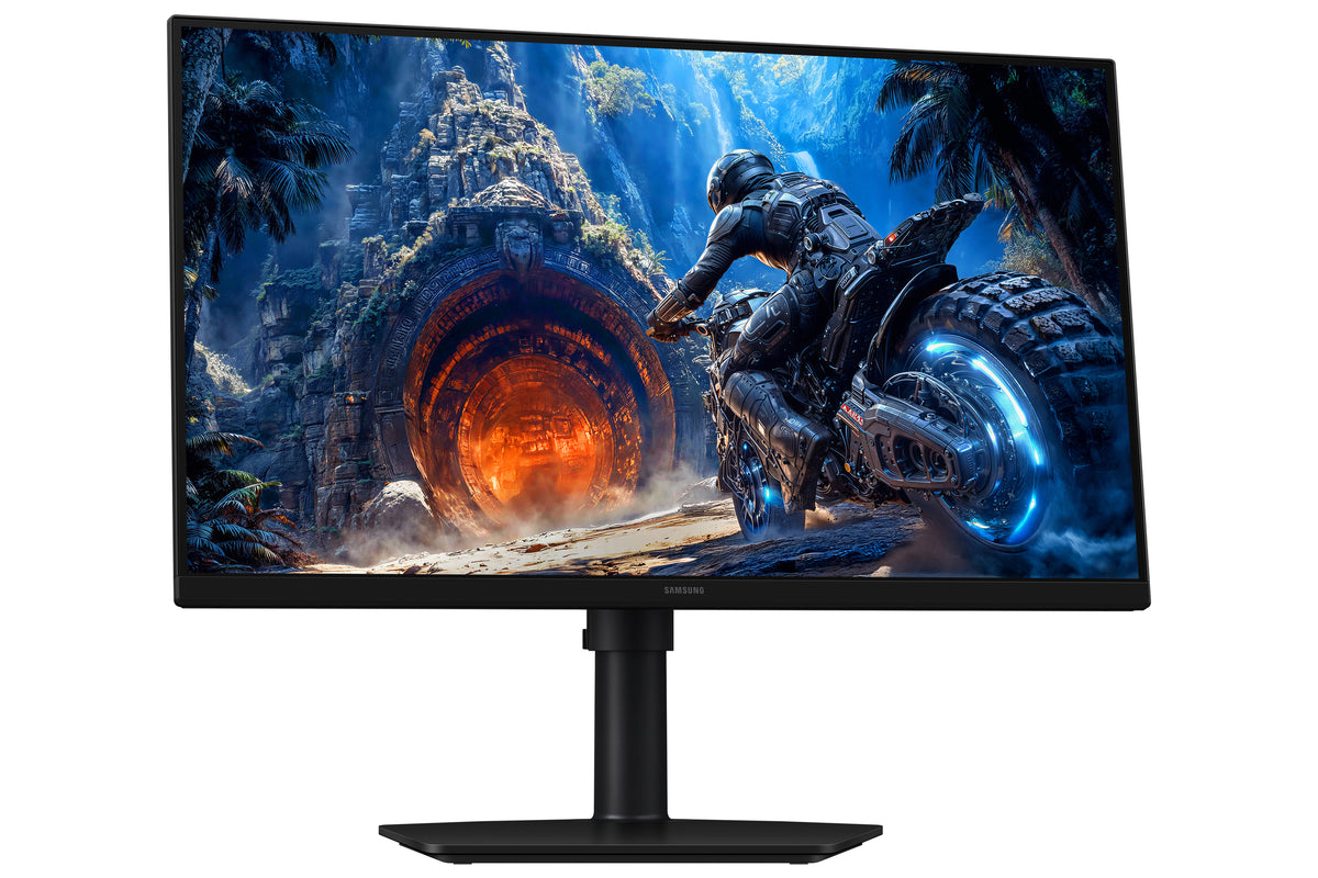 Samsung G40H 25 IPS 1920 x 1080 (Full HD) HDMI DisplayPort 300 Hz