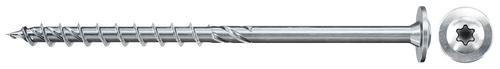 Fischer 561801 screw/bolt 100 pc(s)