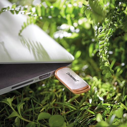 Intenso Green Line USB-nøgle 64 GB USB Type-A 3.2 Gen 1 (3.1 Gen 1) Beige, Brun