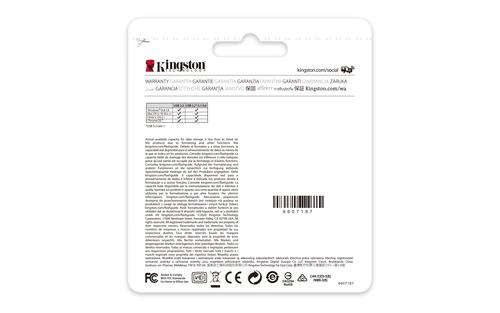 Kingston Technology DataTraveler 256 GB Kyson USB Flash-drev