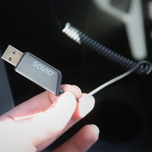 Savio TR-16 FM transmitter 2400 - 2483.5 MHz Bluetooth Black, Silver