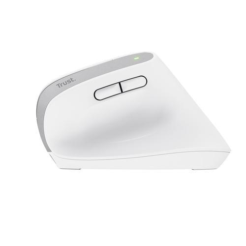 Trust Bayo+ mouse Office Right-hand RF Wireless + Bluetooth Optical 2400 DPI
