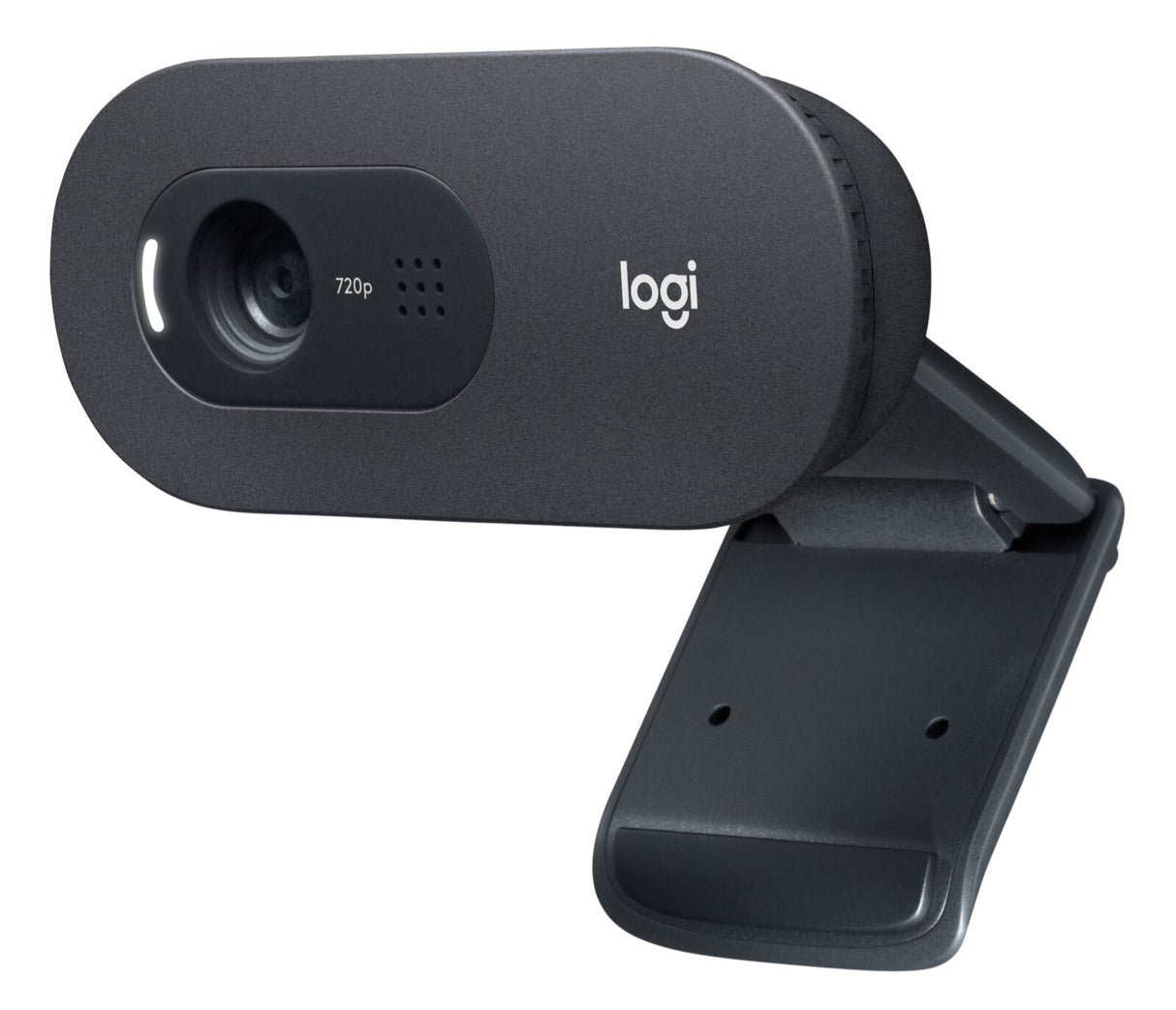Logitech C505e webcam 1280 x 720 pixel USB Grafit