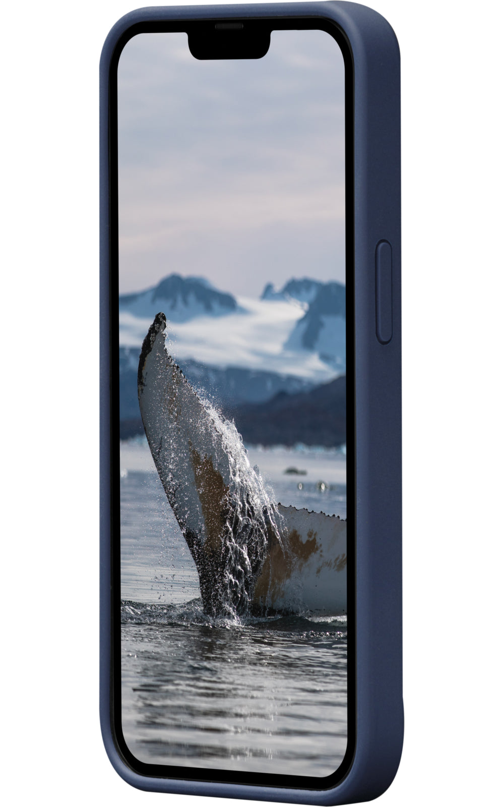 dbramante1928 Monaco - iPhone 14 - Pacific Blue